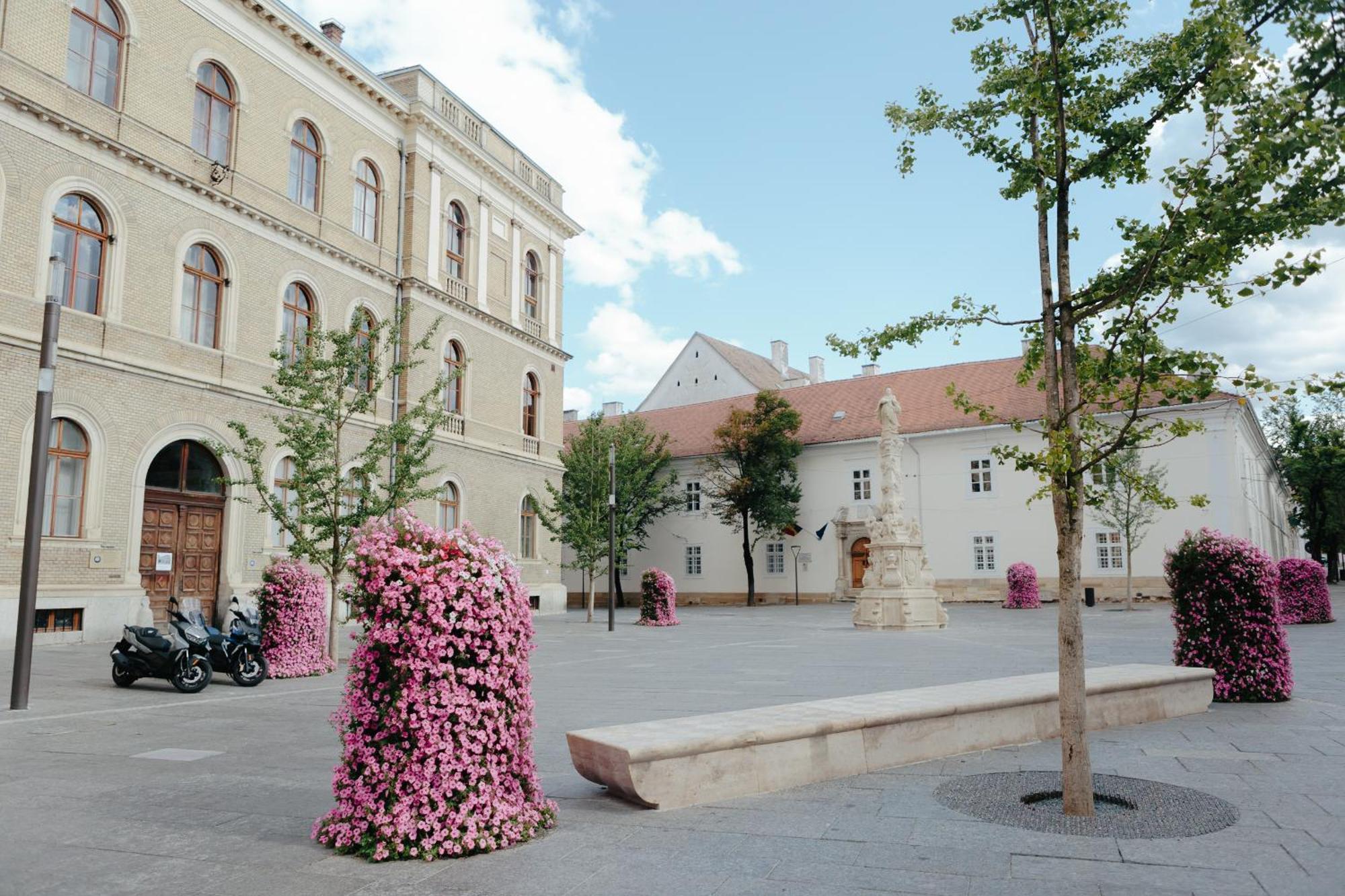 Contessa Central Studio II Cluj-Napoca Exterior photo