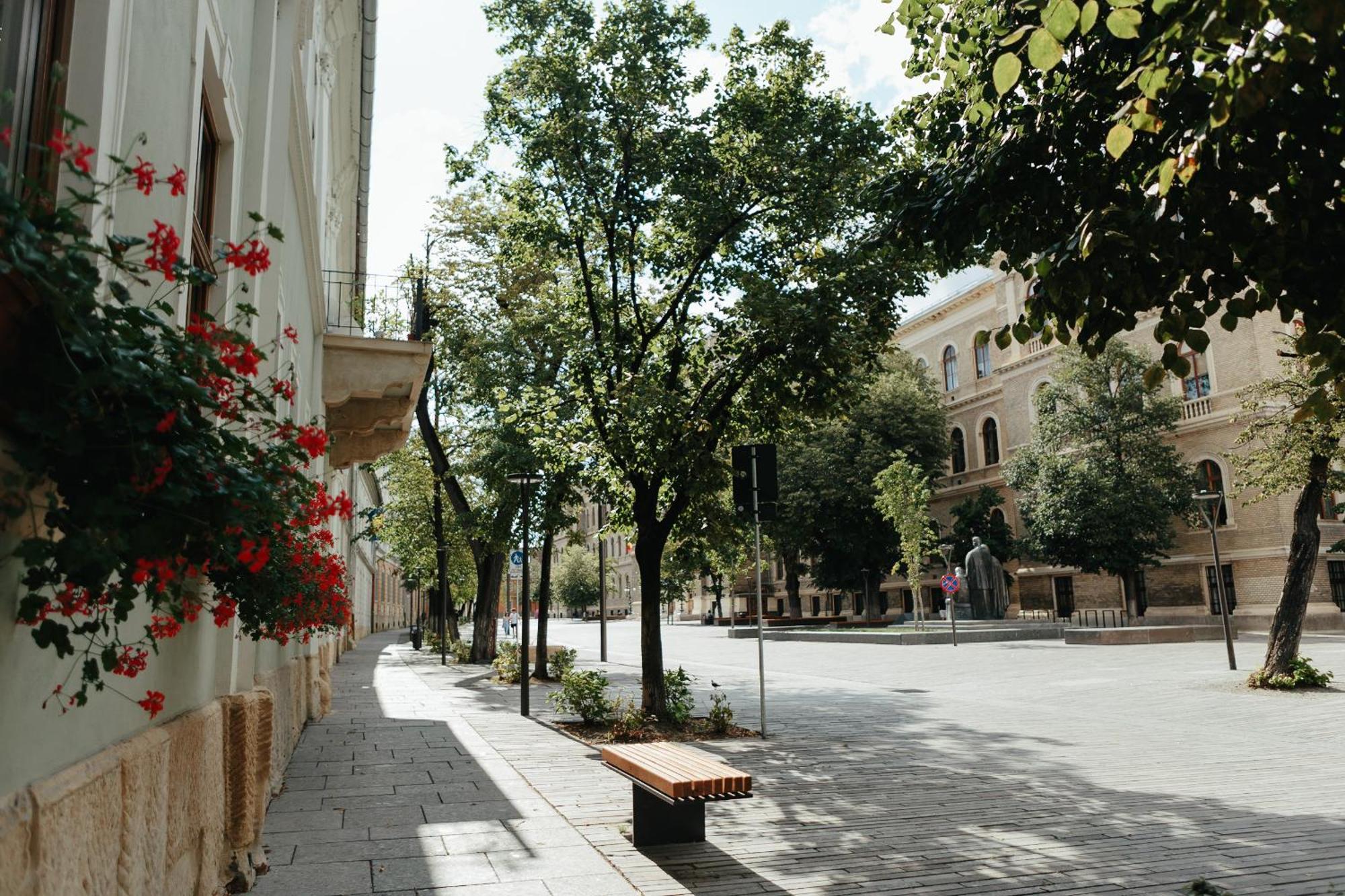 Contessa Central Studio II Cluj-Napoca Exterior photo